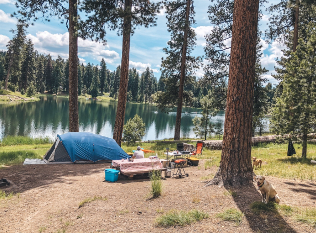 Picture of A small campsite next to a lake